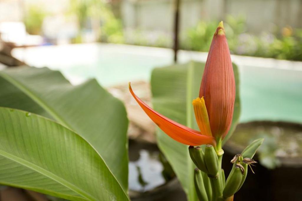 Casa Villa Independence Phnom Penh Eksteriør billede